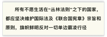 钟声：没有哪一个国家可以充当国际警察